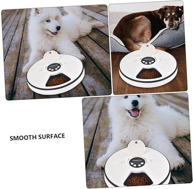 BESPORTBLE Smart Timing Pet Feeder Detachable Bowl for Dogs Automatic Feeding Plate