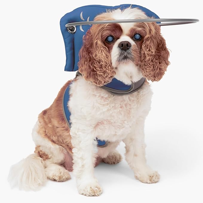 Muffin’s Halo® – The Original Blind Dog Halo | Harness & Bumper Collar Accessory for Safe Navigation & Confidence – Blue, Size 1