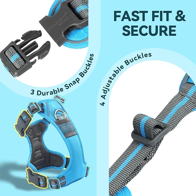 VIVAGLORY Dog Harness Easewalk No Pull Dog Harness with Handle Front Clip & Back Clip for Training Walking Lifting, No Pull Adjustable Easy On Padded Comfortable for Pet, S, Sky Blue - Patterned