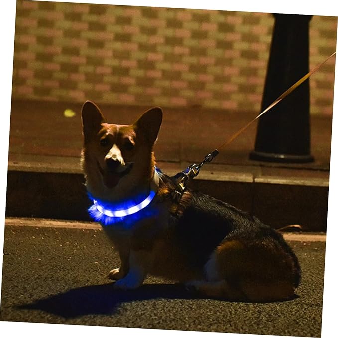 Alasum USB Rechargeable LED Pet Collar Durable Dog Collar with Night Safety for Pets