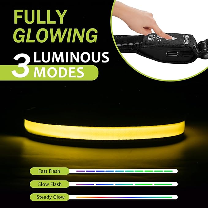 Rechargeable Glowing Dog Collar - Flashing, Adjustable, Waterproof Light Up for Night (Yellow, Pack of 1, XS)