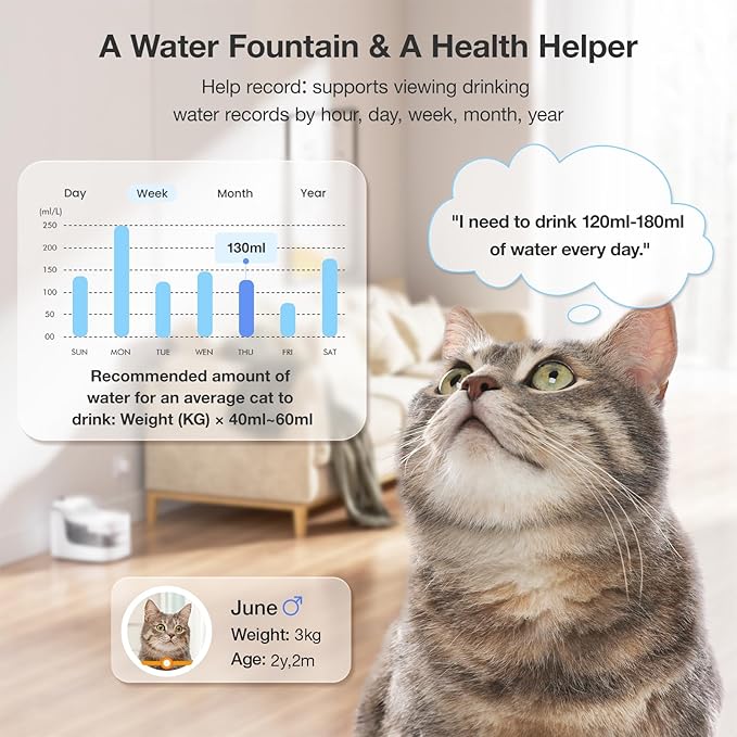 Automatic Pett Feeder with Smart Pet Water Fountain, 3.5L Timed Cat Dog Food Dispenser with App Control, Handmade Ceramic Bowl & 2.5L Cat Water Fountain for Drinking, Feeder and Water Fountain