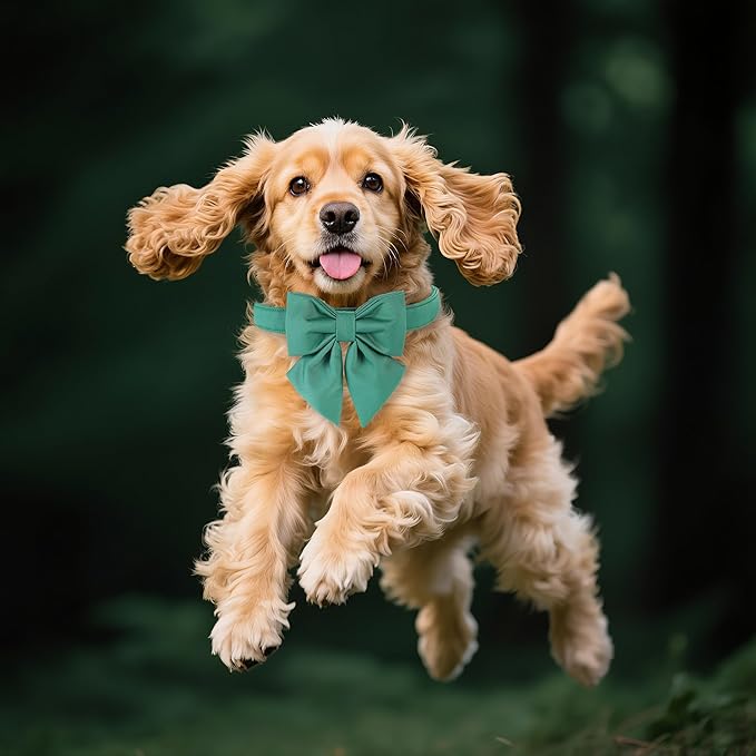 Maca Bates Jade Green Dog Collar with Cute Solid Sailor Bow Tie for Medium Girl Boy Dogs,Adjustbale Durable Breakaway Soft Collars with Bowtie for Female Male Puppy,Pet with Metal Buckle