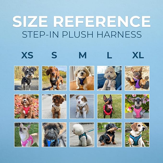 Best Pet Supplies - All Weather Plush, Reflective, No Pull Harness for Small, Medium Dogs, Cats - Secure with Hook & Loop Fastener, Buckle, Double D-Rings - Turquoise Plush, L