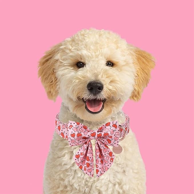 Valentine’s Day Dog Collar with Bow Tie, Pink Heart Bowtie Collar with Metal Buckle, Valentine’s Day Gift Pet Collar for Puppy Girl Boy Dog or Cat, Wedding Dog Collar, S, Neck 10-16in