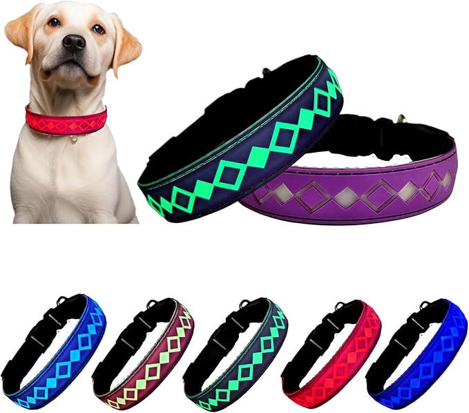 USB-C led Light up Dog Collar, 3D Design Comfortable and Soft Material,Multicolored Lighting，Night Dog Collar (LX-Purple, M(15.7-19.7"))