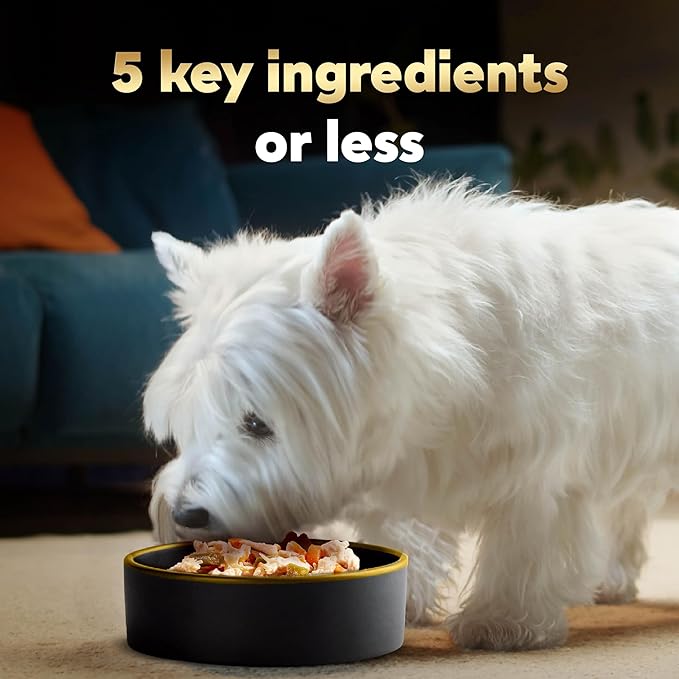 Cesar Simply Crafted Wet Dog Food Toppers for Dry Food, Chicken and Beef Meal Topper Variety Pack, 1.3 oz. Tubs, Variety Pack, 40 Count