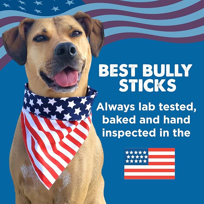 Best Bully Sticks Pumpkin and Sweet Potato Filled Bones - 3-4 Inch 5 Count (Pack of 1) - Long Lasting, Refillable Stuffed Dog Bone Treats for Dogs