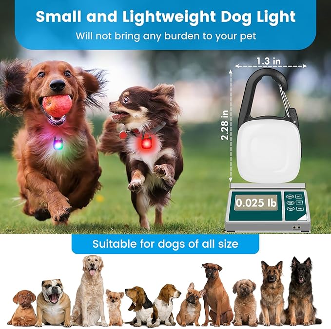 Dog Collar Light, 2 Pack Rechargeable Dog Light Clip On, 80LM Brightness 4 Color Modes Dogs Lights for Night Walking, Waterproof Pet Camping Essentials for Running, Cycling, Hiking (Black)