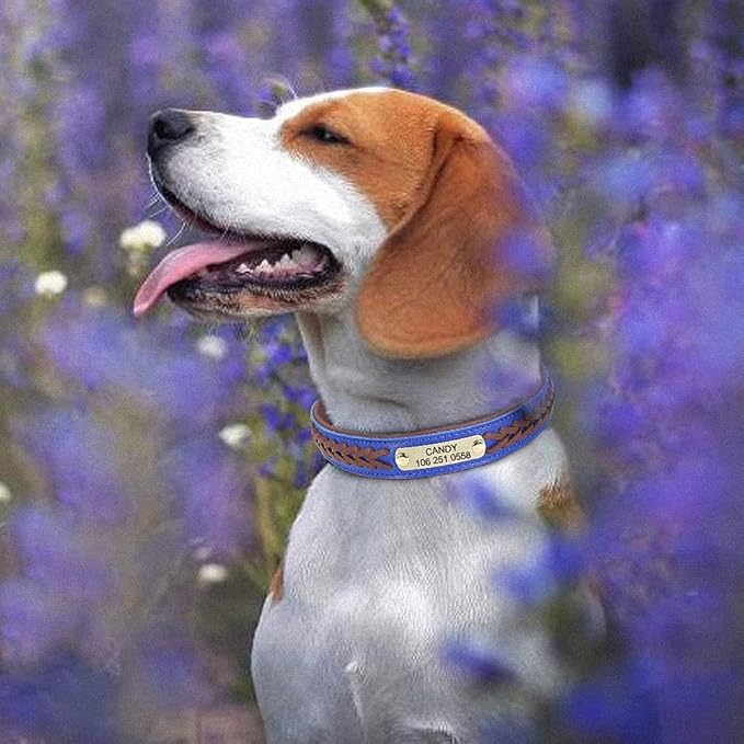 Personalized Braided Dog Collar Custom PU Leather Dog Collars Padded Pet ID Collar for Small Medium Large Dogs Pitbull Bulldog Brown L