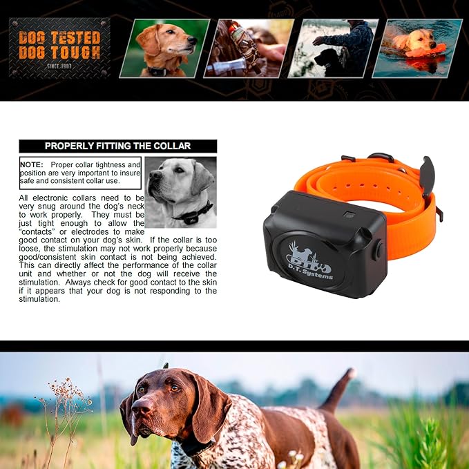 DT Systems H2O 1810, 1820, 1830 Plus Series Add-On/Replacement Collar Receiver, Waterproof Rechargeable Remote Hunting Dog Training Additional E-Collar, 1800-Yard Range, 16 Stimulation Levels, Orange