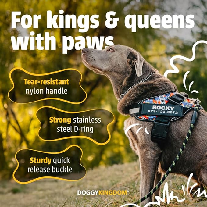 Personalized No-Pull Dog Harness with Name Patch, Adjustable, Reflective, Padded, Heavy Duty Pet Vest to Prevent Tugging, Pulling, or Choking, Training and Walking, Military Green, XS