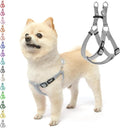 PUPTECK No Pull Dog Harness Soft Adjustable Basic Nylon Step in Puppy Vest Outdoor Walking with ID Tag, Grey, XS