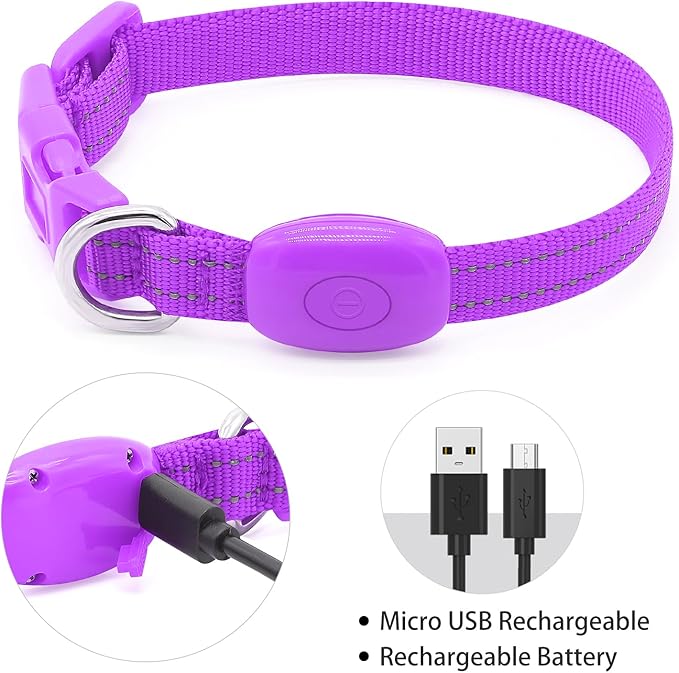 Light up Dog Collar for Small Dog,Vizpet XS Adjustable Size Nylon Collar USB Rechargeable Bright Safety Pet Collar for Cats Dogs (Purple)