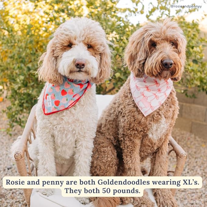 Lucy & Co. Ballet Bows Bandana - Durable Comfortable Dog Bandana - Machine Washable - Designer Puppy Accessory - Large White & Pink Bows