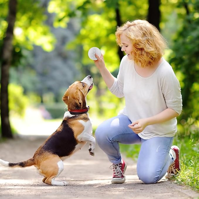 BESPORTBLE Dog Scent Work Tins: 10Pcs Dog Scent Training Box Dog Nose Work Containers, Smell Training Canisters Aluminum Tin Cans for Pet Dogs Training