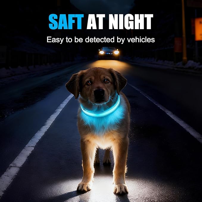 LED Dog Collar Rechargeable- Brightest Light Up Dog Collars - 1,600 Feet of High Visibility - Magnetic Charging - Glow in Dark Dog Lights for Night Walking, Black M