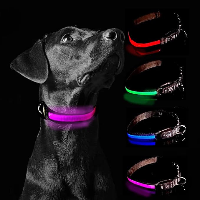 Glow Fetch It! HD Ultra Bright LED Safety Dog Collar, Adjustable, USB Rechargeable with 3 Modes, Water Resistant, Extremely Durable and Easy to Clean (Pink, Large)