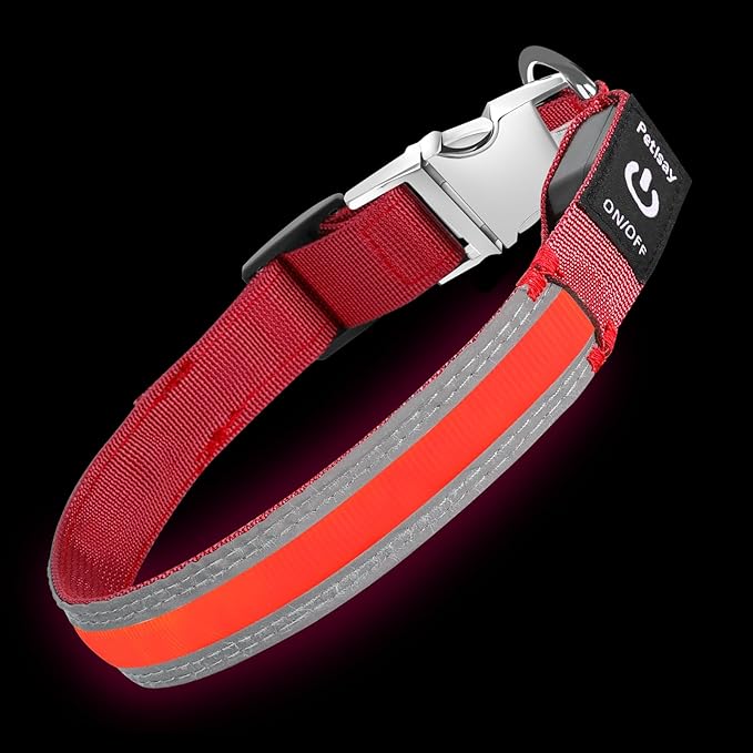PetIsay LED Dog Collar Metal Buckle - Heavy Duty Light up Collars - Rechargeable IP68 Waterproof - Lighted Dog Collar for Night Walking, Hiking, Camping (Small, Red)