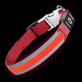 PetIsay LED Dog Collar Metal Buckle - Heavy Duty Light up Collars - Rechargeable IP68 Waterproof - Lighted Dog Collar for Night Walking, Hiking, Camping (Small, Red)