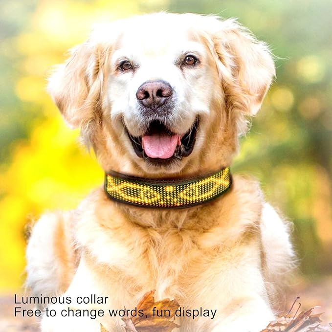 Glow Collar for Dogs, Led and Collared, Rechargeable Led Collar for Providing High Visibility During Nighttime Walks (Yellow)