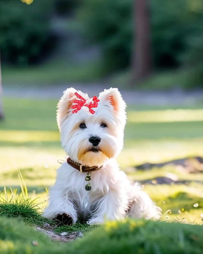 PET SHOW 20 Pack/10 Pairs Pink Curly Dog Hair Bows with Rubber Bands for Small Medium Dogs Girl Spiral Puppy Swirl Topknot Cat Female Holiday Hair Accessories Pet Favor Gift(Pink)