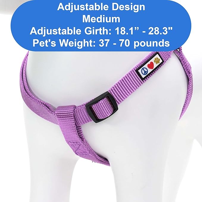 Pawtitas Personalized Dog & Puppy Harness Medium Orchid Custom ID Tag Adjustable No Pull Vest