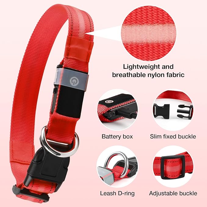 Light Up Dog Collar, USB Rechargeable 6 Modes, Waterproof Charging Port, Long Lasting LED Collar - Adjustable Nylon Reflective for Dogs, Sizes S/M/L (7/9/11 Lights) - 5 Colors (Red, M)