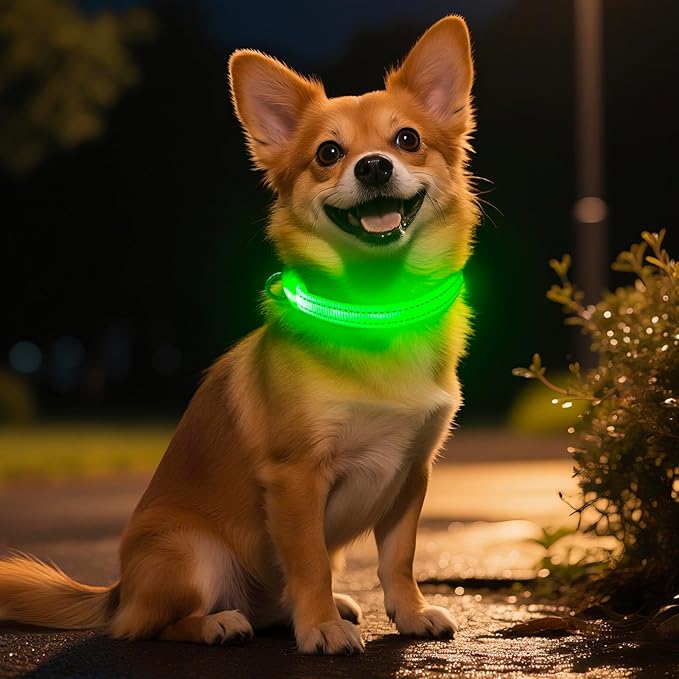 Light Up Dog Collar for Small Dogs - LED Dog Collar Rechargeable Adjustable Puppy Collars, Glow in The Dark Dog Lights for Night Walking（X-Small, Green）