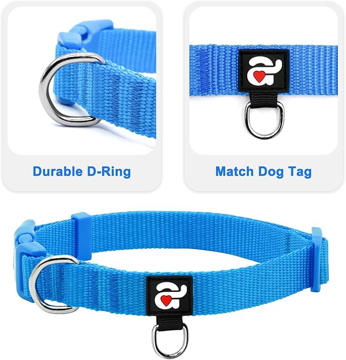 azuza 3 Pack Dog Collars Comfortable and Adjustable Nylon Dog Collars for Medium Dogs, M (14-20inch)，Green, Blue and Royal Blue