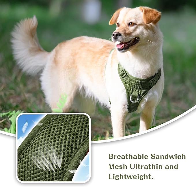 No Pull Dog Harness for Small Medium Large Dogs - Adjustable 2 Layer Mesh Dog Vest with Dual Clip, Escape Proof, Quick Release, Lightweight Breathable Mesh for Walking Hiking (Misty Green,XS)