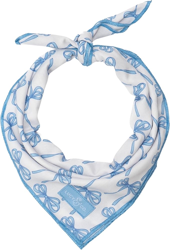 Lucy & Co. Bowwow Wow! Bandana -Designer Puppy Accessory. 100% Polyester. Soft, Stylish and Appropriate for Any Occasion. Machine Washable (Blue Bows)