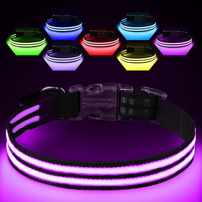 Light Up Dog Collar Rechargable,Reflective LED Collars for Small Medium Large Dogs,Lighted Dog Collars Lights for Night Walking-Waterproof,Black,S
