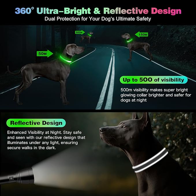 Light Up Dog Collar, Multicolor LED Dog Collar with 7 Lighting Modes - USB-C Rechargeable, Real-Time Battery Indicator, Waterproof & Adjustable Glow Collar for Safe Night Walks (L)