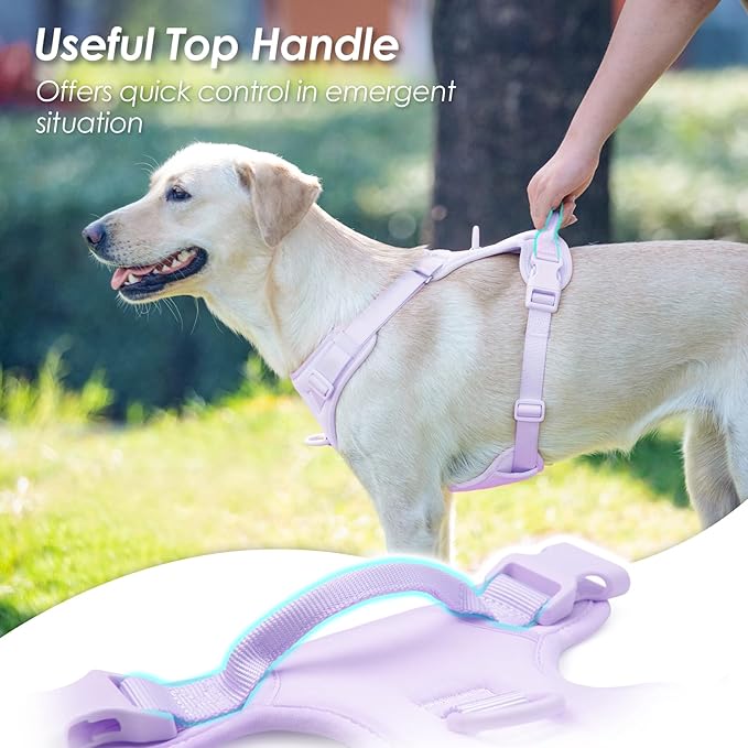 No Pull Dog Harness, Puppy Vest with Front Clip for Small Medium Large Sized Dog(Light Purple,S)