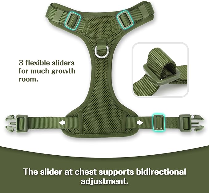 No Pull Dog Harness for Small Medium Large Dogs - Adjustable 2 Layer Mesh Dog Vest with Dual Clip, Escape Proof, Quick Release, Lightweight Breathable Mesh for Walking Hiking (Misty Green,XS)
