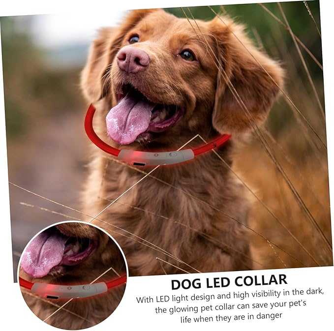 GANAZONO LED Rechargeable Puppy Collar Glowing Pet Collar with USB Cable Lightweight and Comfortable and Cats Stylish and Eye Catching Night Safety Accessory