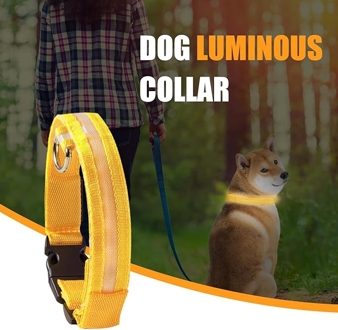 Lighted Dog Collars - Puppy Led Training Collar with Nighttime Visibility, 3 Lighting Modes, Water-Resistant Rechargeable Pet Collar, 600mah Battery, Customizable Dog Illuminated Collar for Dogs