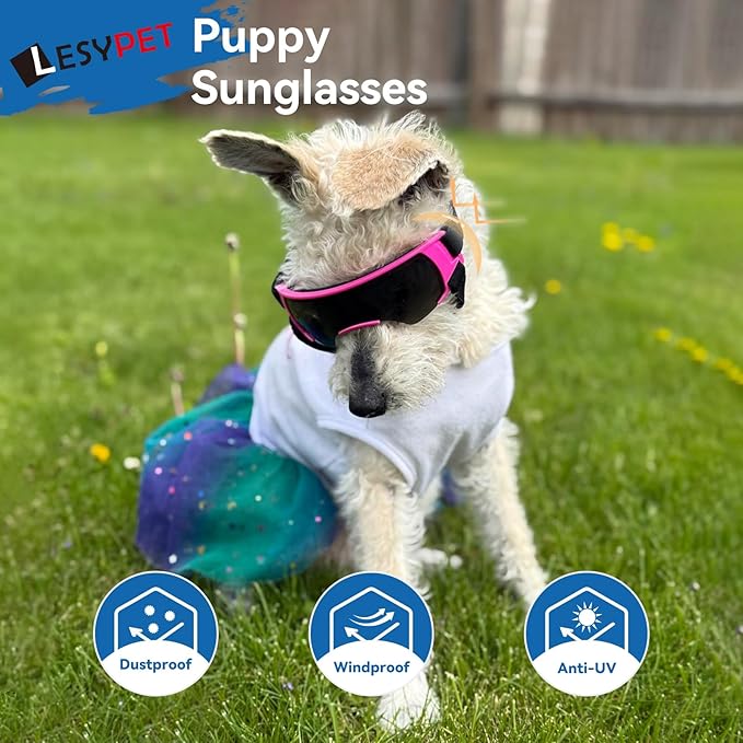LESYPET Dog Sunglasses for Small Breed, UV Wind Dust Protection Dog Goggles for Pet Outdoor Driving Riding, Pet Glasses Eye Wear with Adjustable Strap, Blue