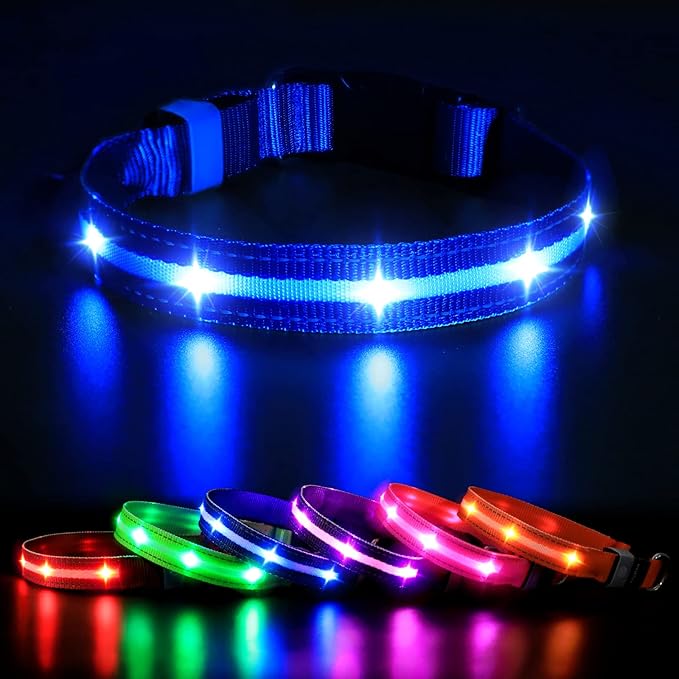 MASBRILL Led Dog Collar - Rechargeable, Water-Resistant, Flashing, Glowing, Night Walking Collar for Dogs - Blue, Size M (19.69*0.98inch)