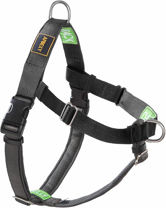 Freedom No Pull Dog Harness, Easy Walker, Stop Pulling with Two Stainless D-Rings, Comfortable, Sewn-in Instructions Tags for Easy Use (Black, X-Small)