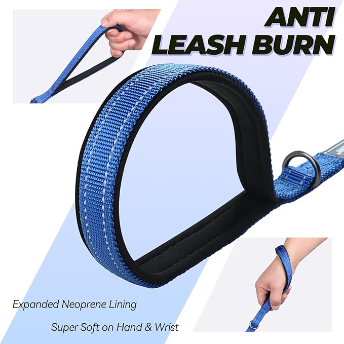VIVAGLORY Twingrip Dog Leash, Double Handle Dog Leash for Training & Walking with Traffic Handle & 2 Loop, Traffic Control Reflective Heavy Duty for Puppy Pet, 5ft x 1/2in, Blue