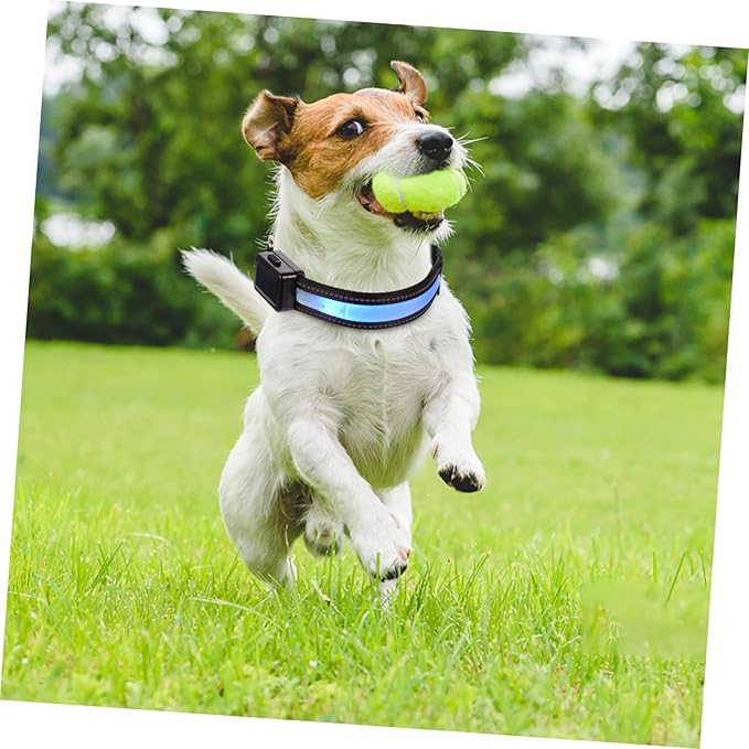Solar Powered Dog Collar Led Collar Light Rechargeable Night for Puppy