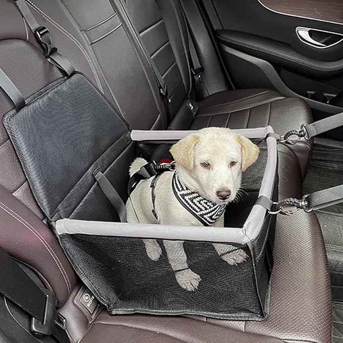 Waterproof Carrier Bed - Puppy Travel Seat, Dog Car Booster | Adjustable Buckle Harness Crate, Storage Pocket Basket, Removable Cushion with Driving Scenario