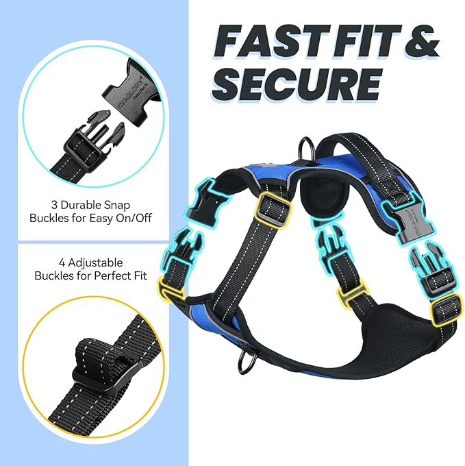 VIVAGLORY Dog Harness Easewalk No Pull Dog Harness with Handle Front Clip & Back Clip for Training Walking Lifting, No Pull Adjustable Easy On Padded Comfortable for Pet, M, Royal Blue - Plain