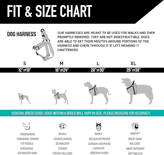 Wolfgang Heavy Duty Adjustable Dog Harness, Pull-Tested to Over 800 lbs for Walking & Training, Daydream Print, Medium