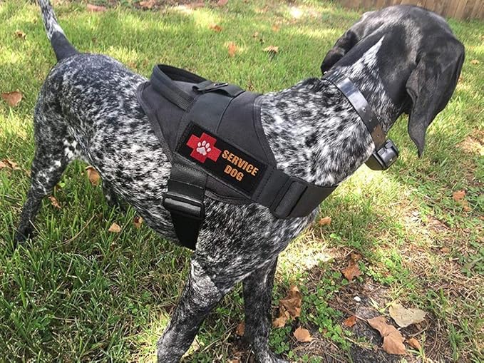 Dog harness adjustable nylon pet dog collar vest rubber band dog leash for small and large dogs German shepherd L BlackHsLeash