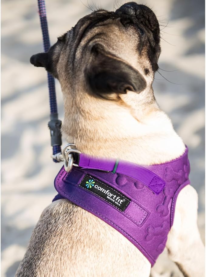 Comfort Fit Dog Harness Small Medium Sized Dogs Extra Comfort No Pull Step in Dog Harness with Adjustable Buckles Soft Padded Easy Control Vest Harness Training Walking Running Inside Velvet Plush