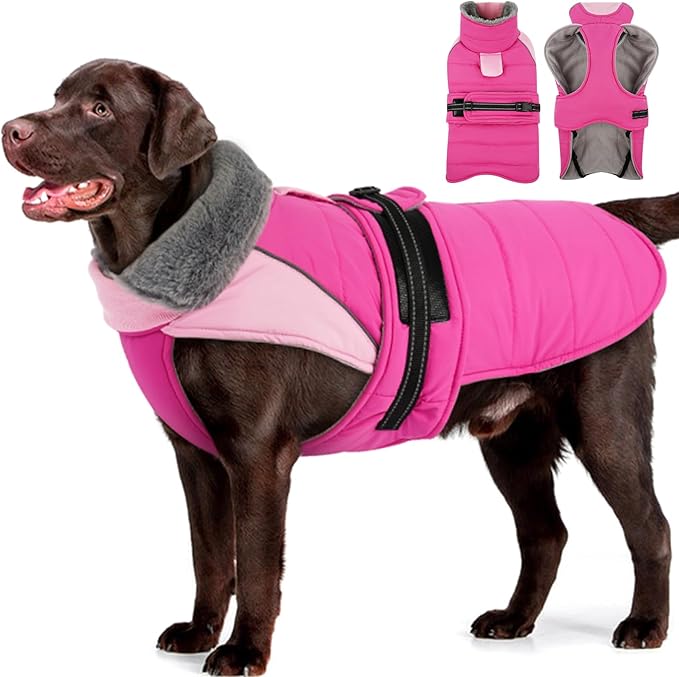 MIGOHI Snowproof Dog Coat - Thick Fleece Dog Jacket with Adjustable Collar, Keep Warm Winter Coat for Medium Dogs Cold Weather Walking Playing,Australian Shepherd,XL,Rosepink