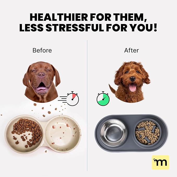 MalsiPree 2-in-1 Slow Feeder & Water Bowl Set 15 oz - Anti-Spill Silicone Mat - Stainless Steel Dish, Stainless Steel Water Bowl - Eases Digestion - Pet Gift for Cat, Puppy, Small & Medium Dog Slow